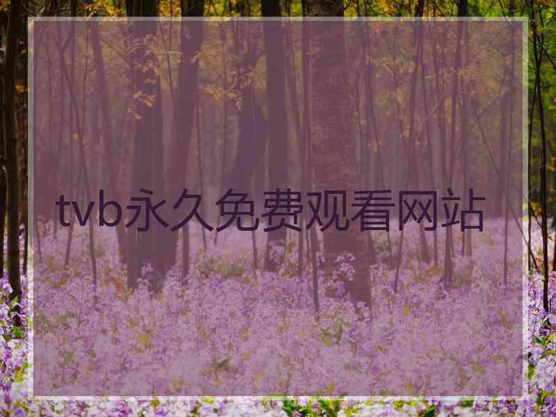 tvb永久免费观看网站