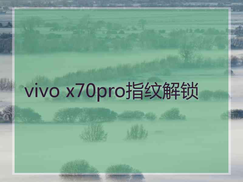 vivo x70pro指纹解锁