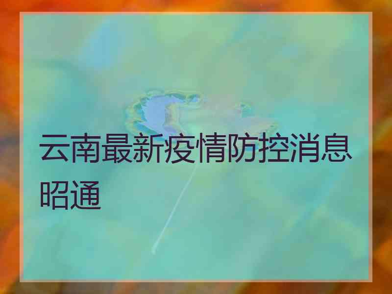 云南最新疫情防控消息昭通