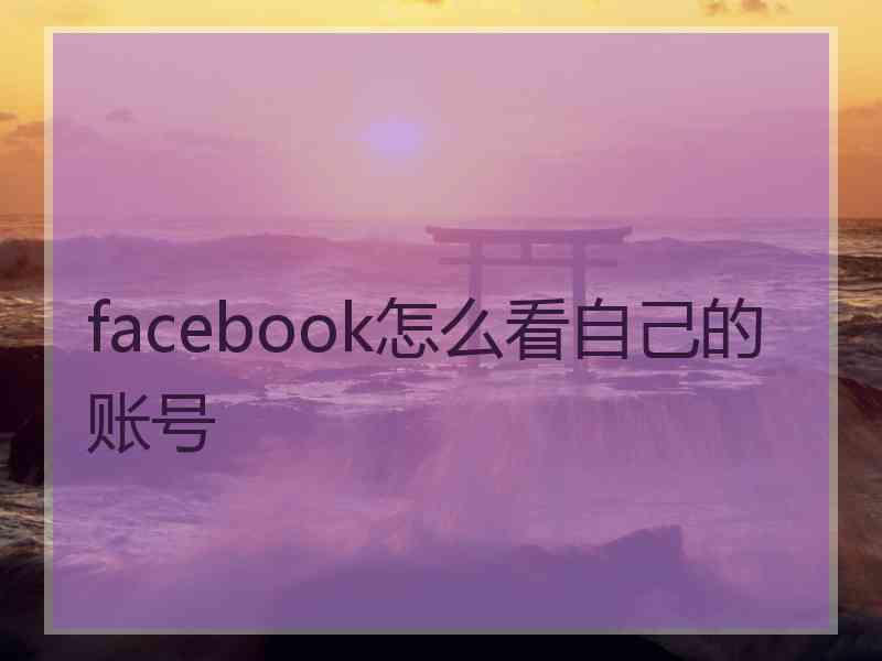 facebook怎么看自己的账号