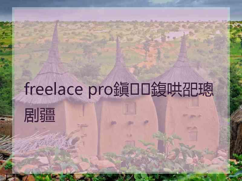 freelace pro鎭㈠鍑哄巶璁剧疆