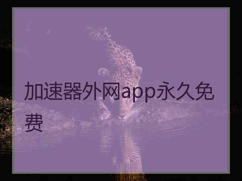 加速器外网app永久免费