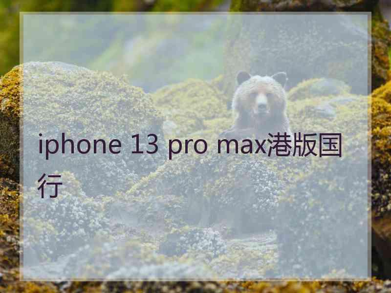 iphone 13 pro max港版国行