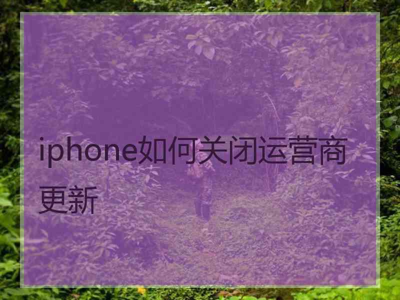 iphone如何关闭运营商更新