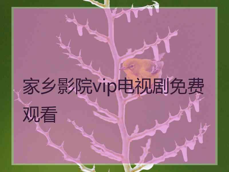 家乡影院vip电视剧免费观看