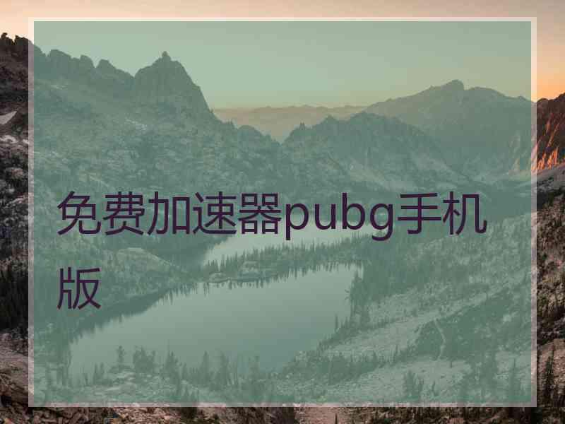 免费加速器pubg手机版