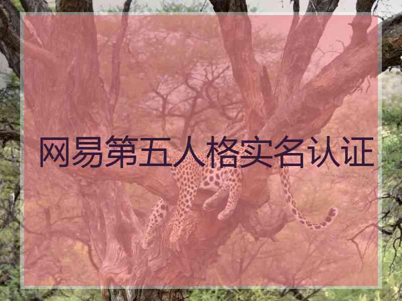 网易第五人格实名认证