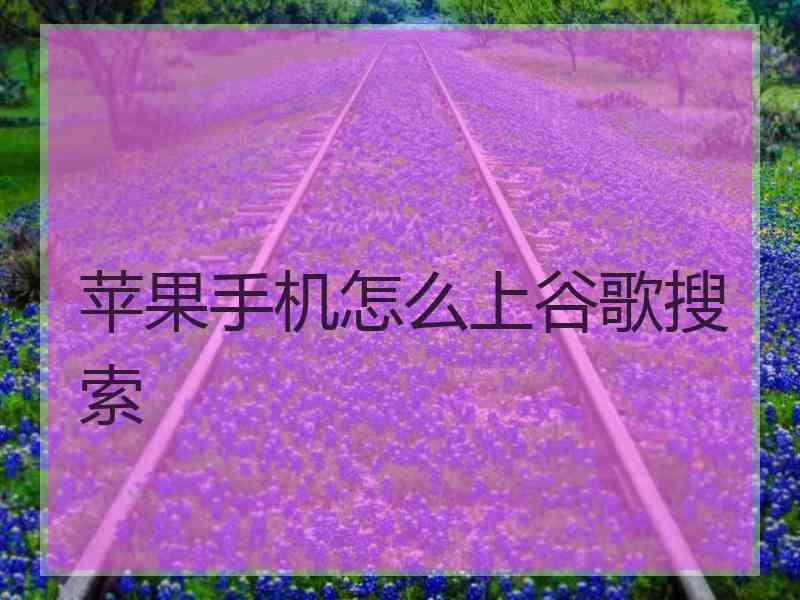 苹果手机怎么上谷歌搜索