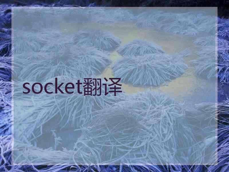 socket翻译