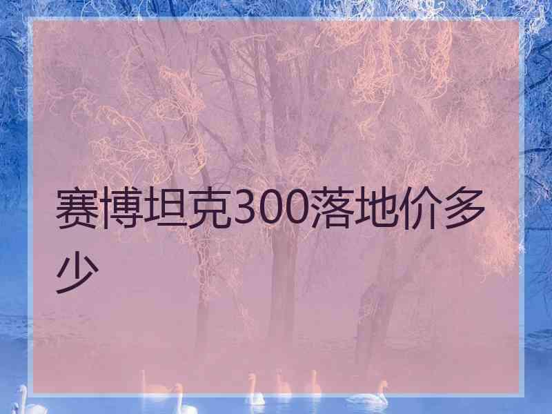 赛博坦克300落地价多少