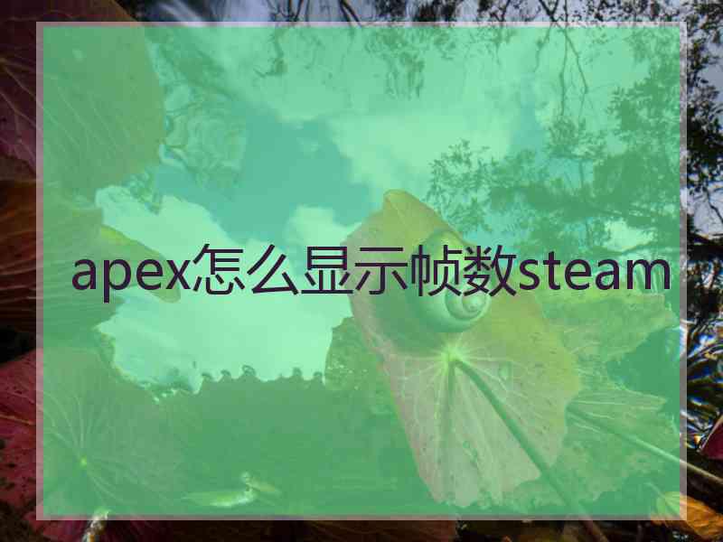 apex怎么显示帧数steam