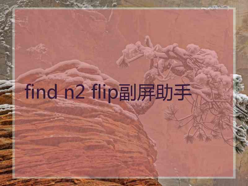 find n2 flip副屏助手