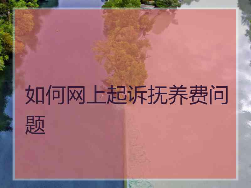 如何网上起诉抚养费问题