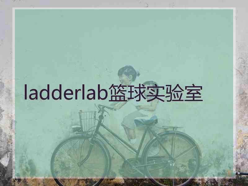 ladderlab篮球实验室