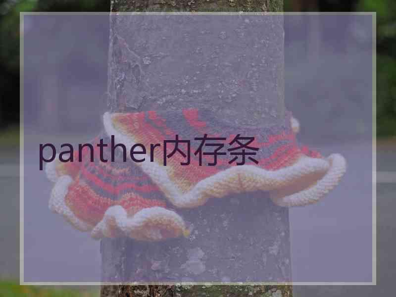 panther内存条