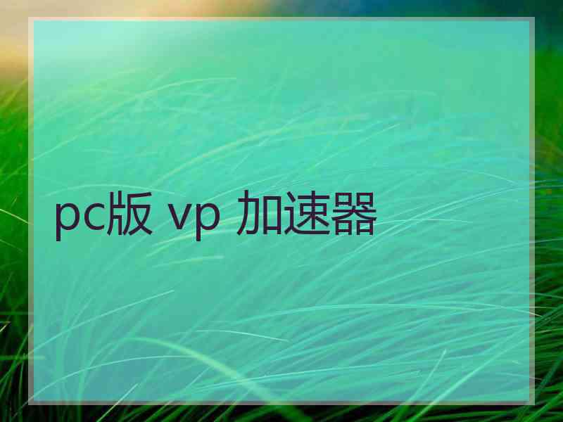 pc版 vp 加速器