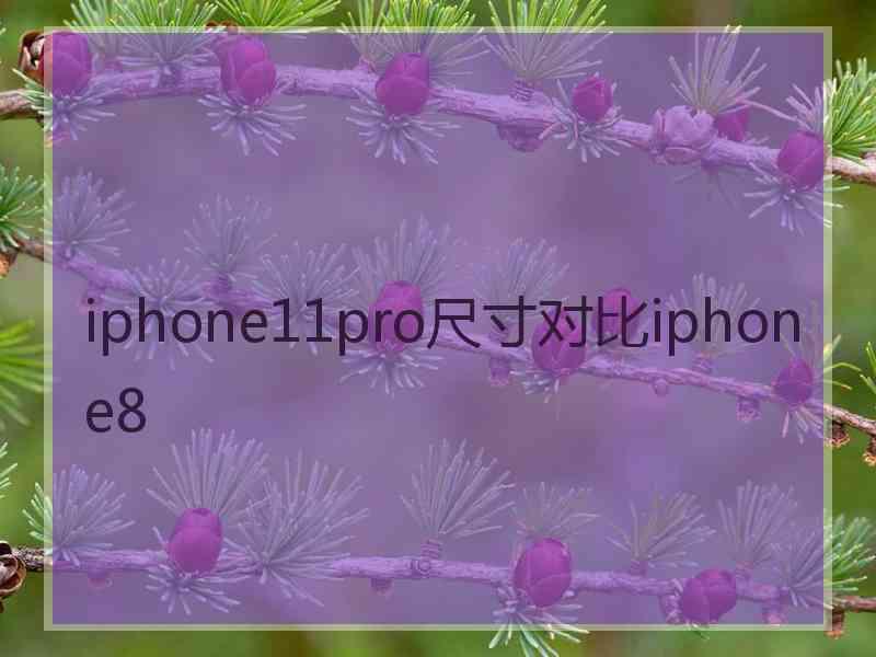 iphone11pro尺寸对比iphone8