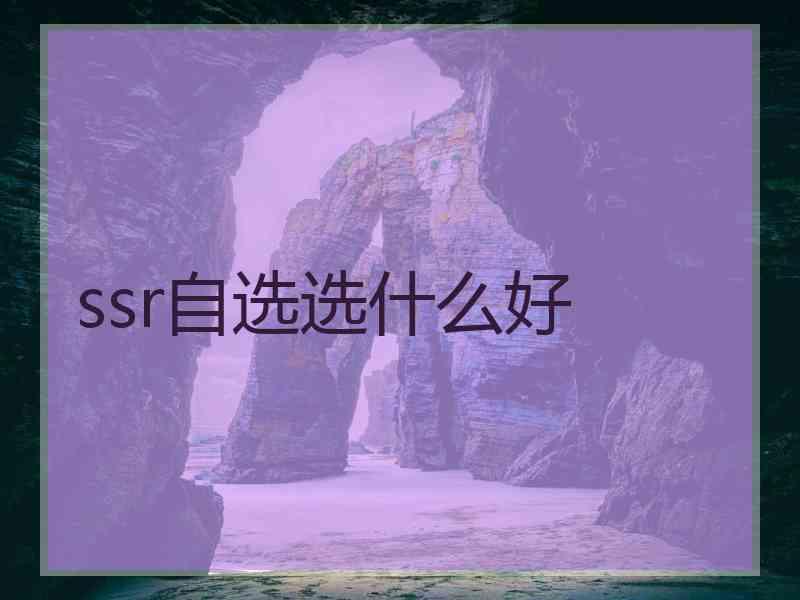 ssr自选选什么好