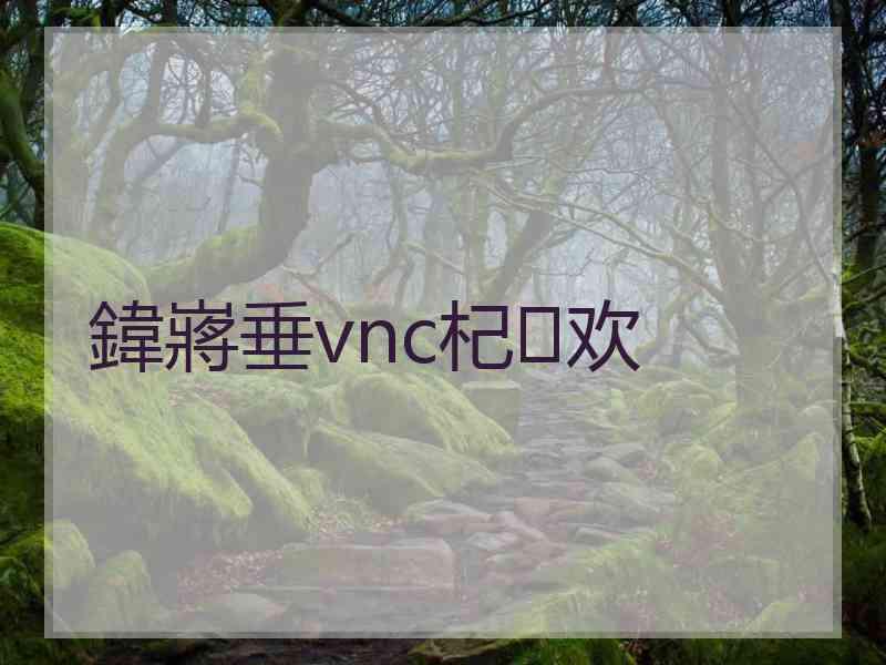 鍏嶈垂vnc杞欢