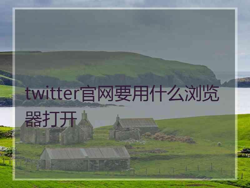 twitter官网要用什么浏览器打开