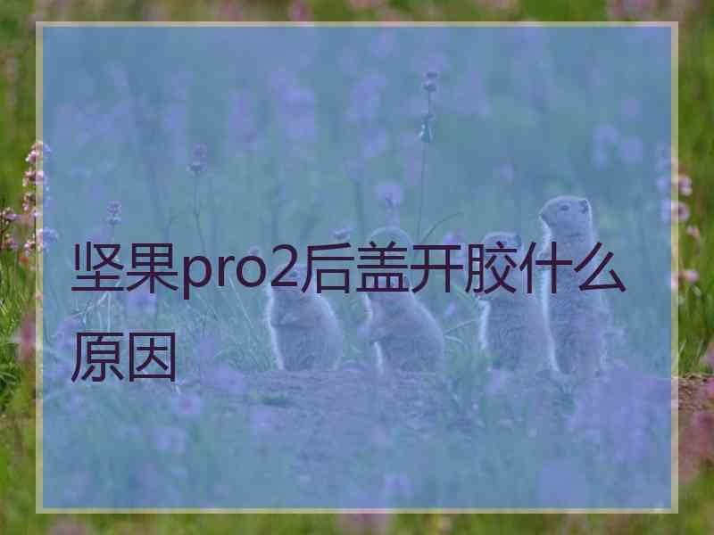 坚果pro2后盖开胶什么原因