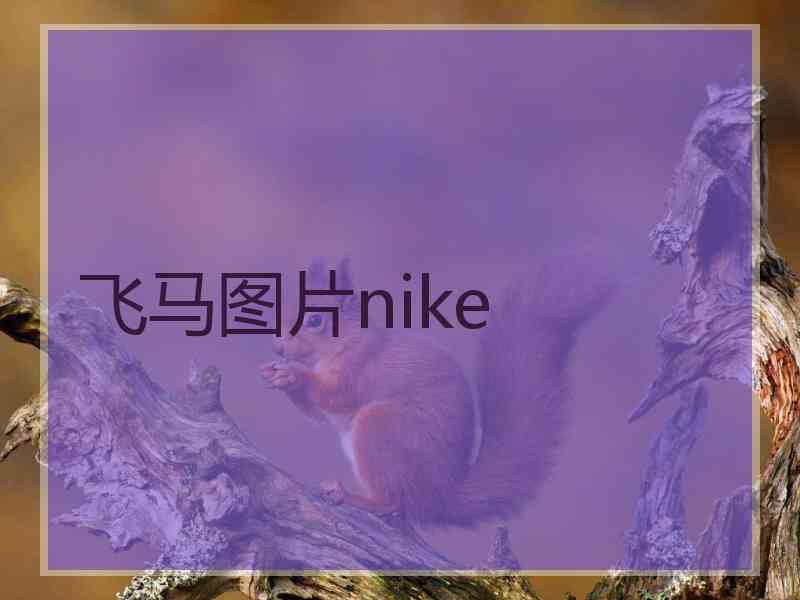 飞马图片nike