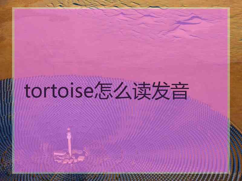 tortoise怎么读发音