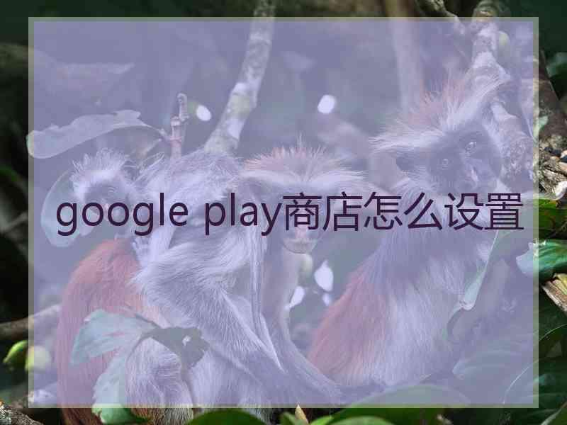 google play商店怎么设置