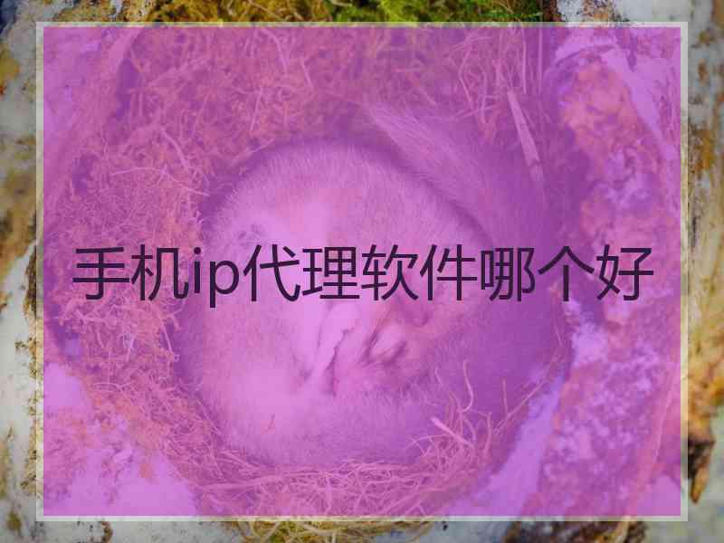 手机ip代理软件哪个好