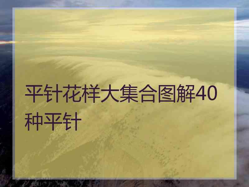 平针花样大集合图解40种平针