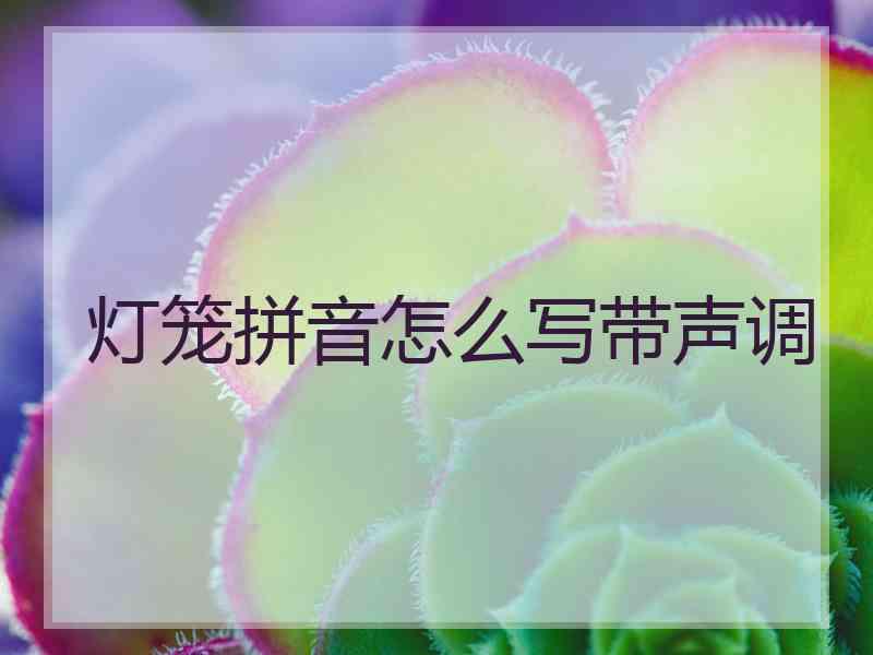 灯笼拼音怎么写带声调