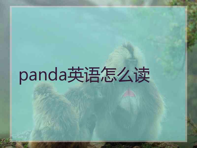 panda英语怎么读