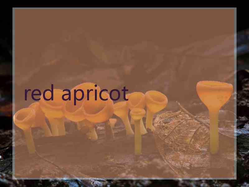 red apricot