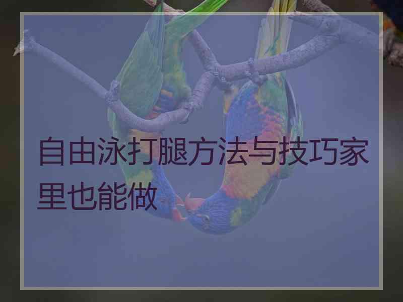 自由泳打腿方法与技巧家里也能做