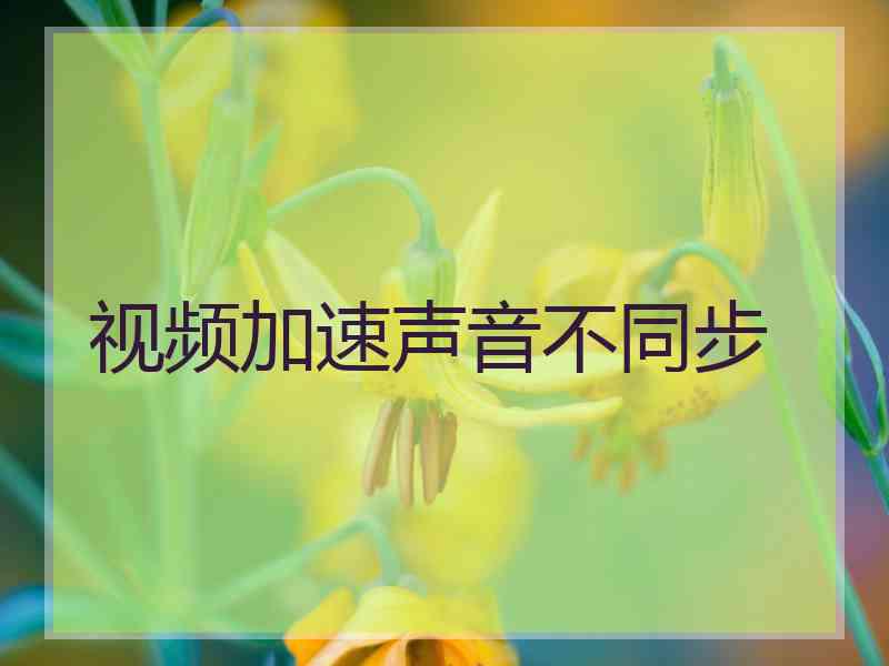 视频加速声音不同步