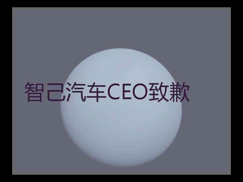 智己汽车CEO致歉