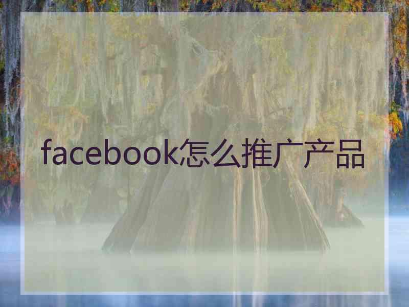 facebook怎么推广产品