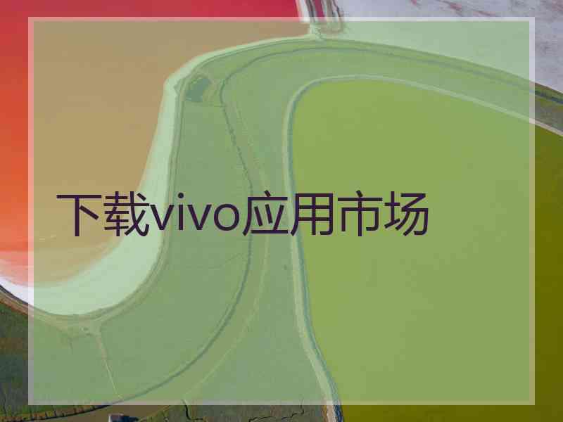 下载vivo应用市场