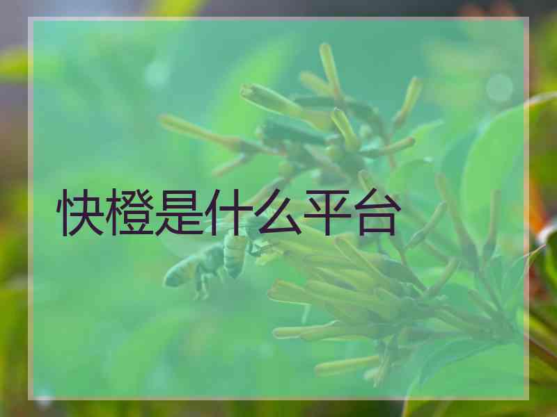 快橙是什么平台