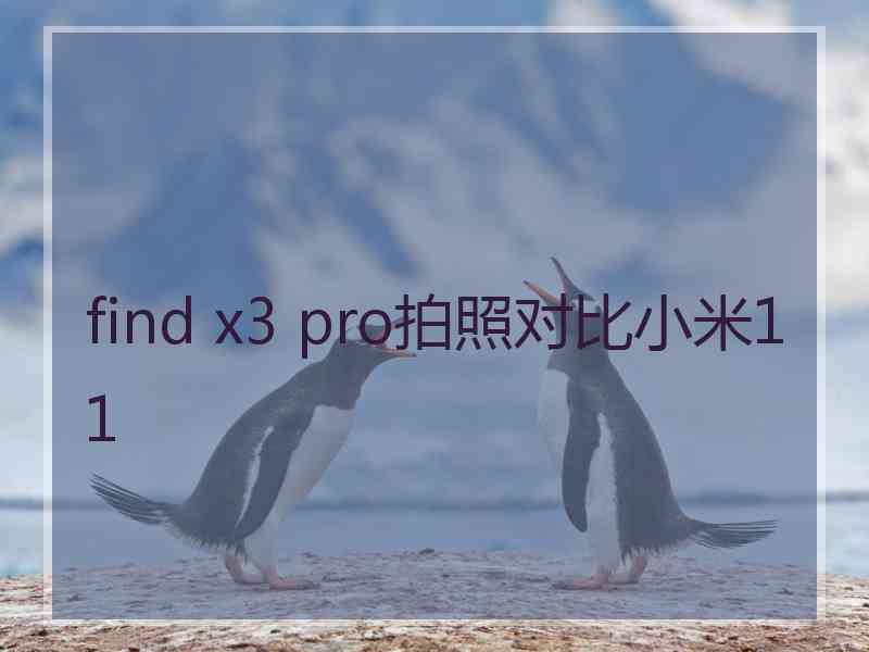 find x3 pro拍照对比小米11