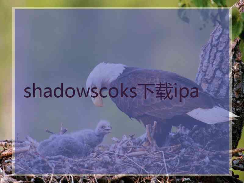 shadowscoks下载ipa