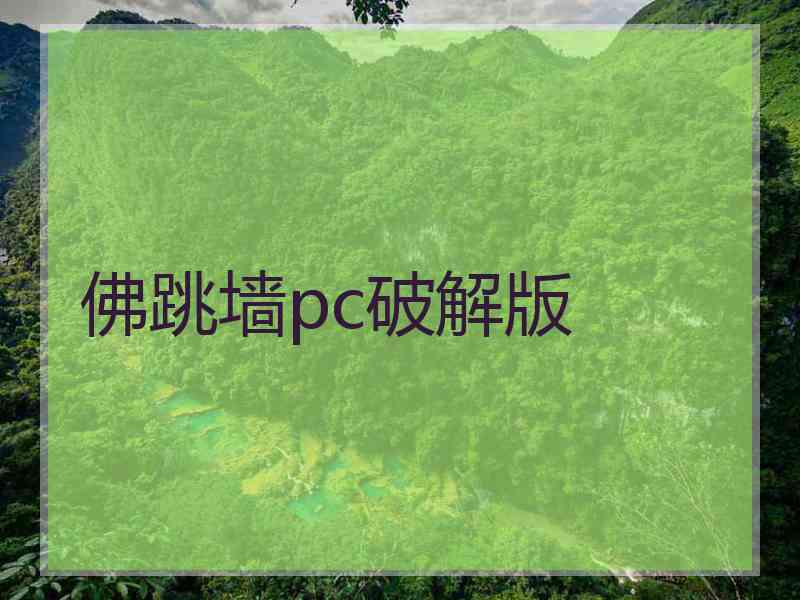 佛跳墙pc破解版