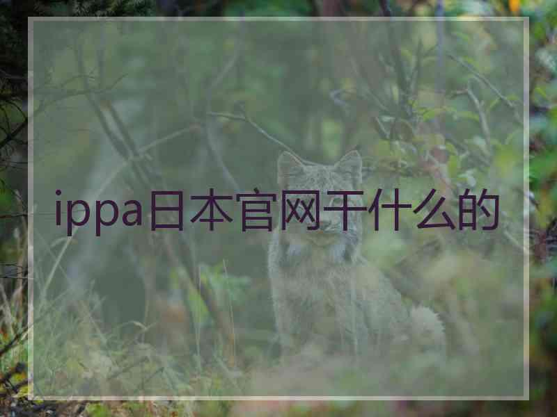 ippa日本官网干什么的