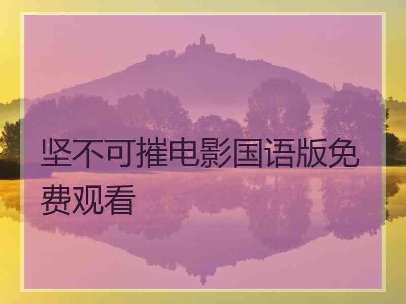 坚不可摧电影国语版免费观看