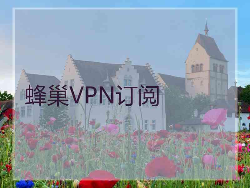 蜂巢VPN订阅