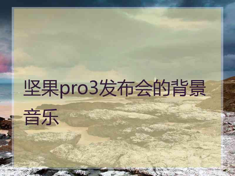 坚果pro3发布会的背景音乐