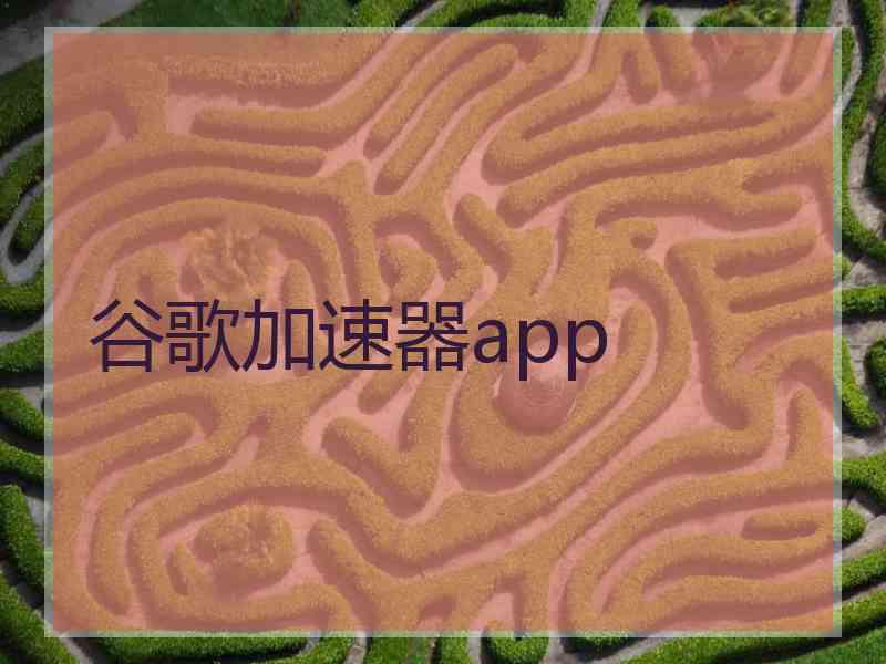 谷歌加速器app