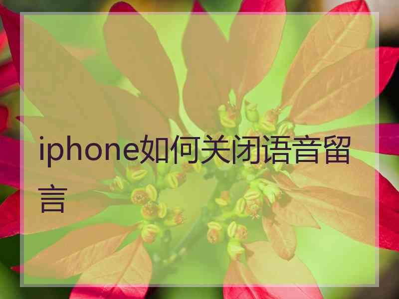 iphone如何关闭语音留言