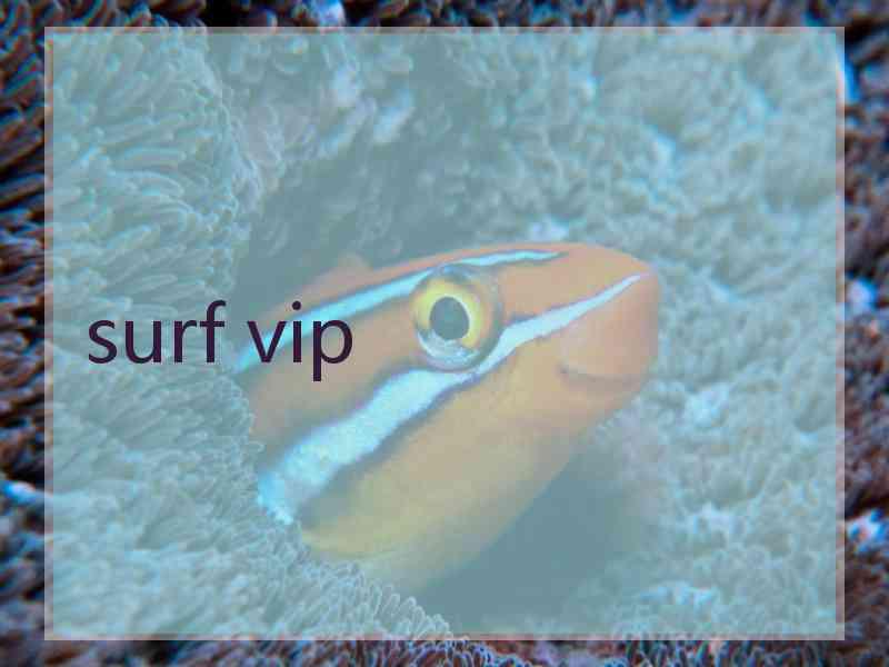 surf vip