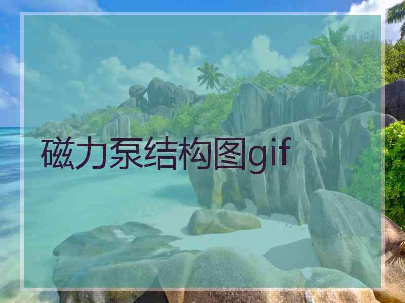 磁力泵结构图gif